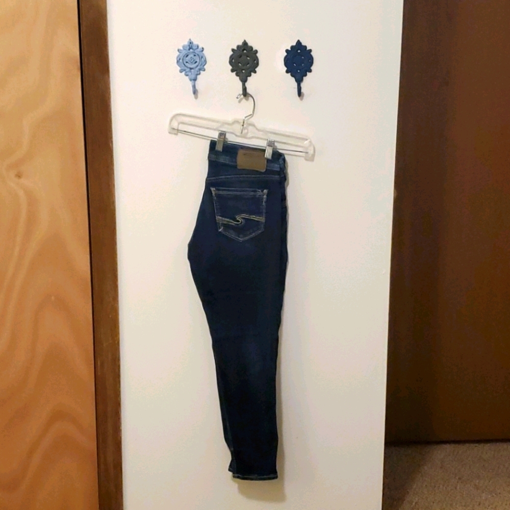 Silver Skinny Crop